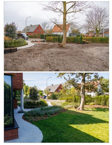 Arbo-Flora Voor en na aanplanting en inzaaien gazon