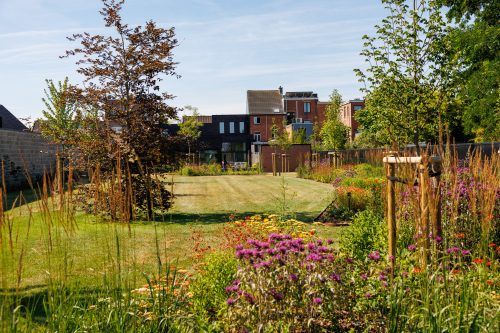 Arbo-Flora Aanplanting in bloei
