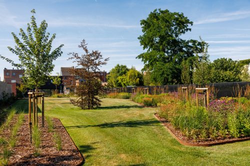 Arbo-Flora Aanplanting in bloei