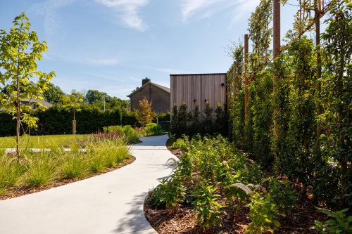 Arbo-Flora Gegoten betonpaden en aanplanting