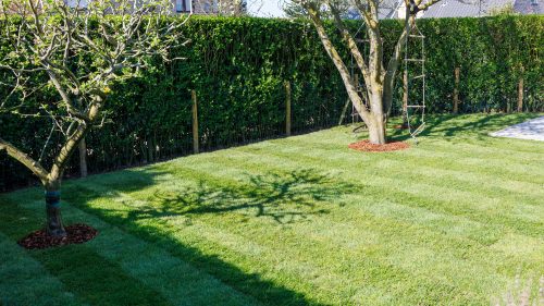 Arbo-Flora Aanleg van grasmatten