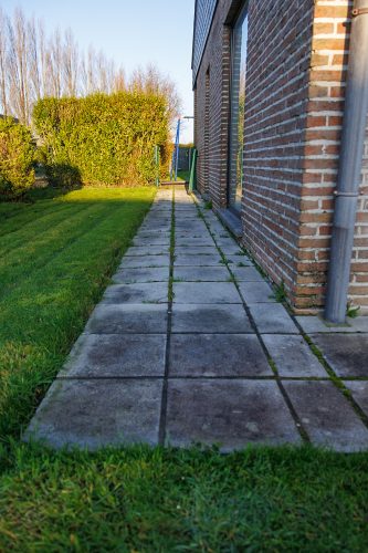 Arbo-Flora Bestaande verharding voor uitbraak